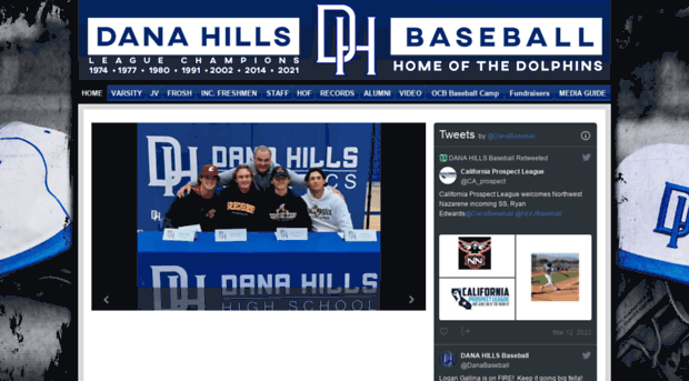 danahillsbaseball.com