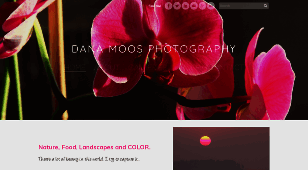 danamoosphotography.com