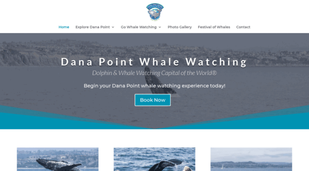 danapointwhalewatching.com