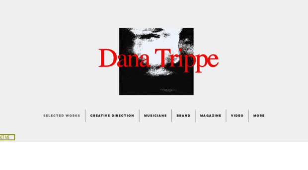 danatrippe.com