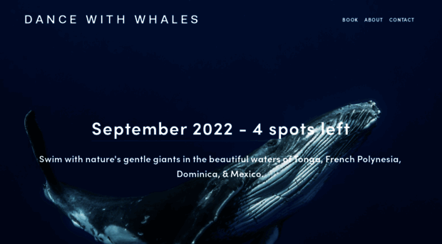 dancewithwhales.com