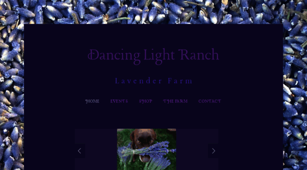 dancinglightlavender.com