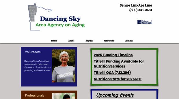 dancingskyaaa.org