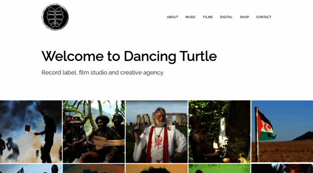 dancingturtle.com