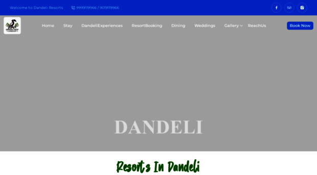 dandelinest.com