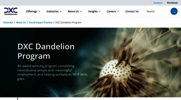 dandelionprogram.com