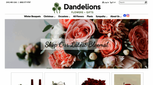 dandelionsflowers.com