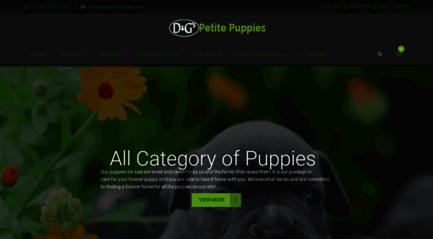 dandgpetitepups.com