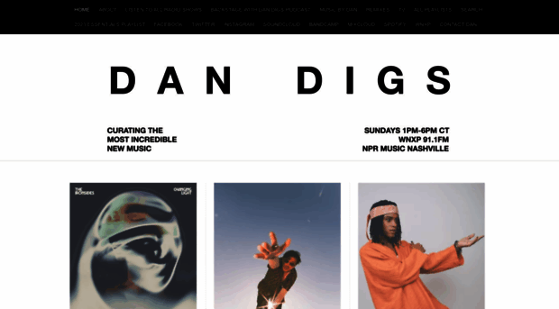 dandigs.com