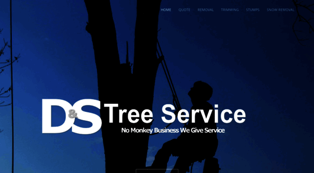 dandstreeservice.com