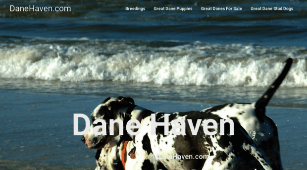 danehaven.com