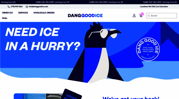 danggoodice.com