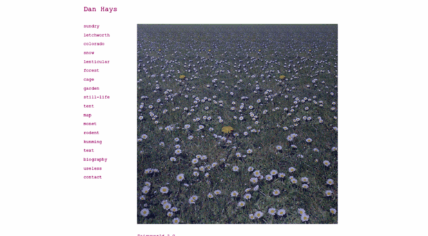 danhays.org