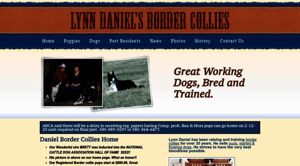 danielbordercollies.com