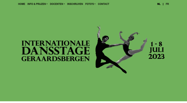 dansstage-geraardsbergen.be