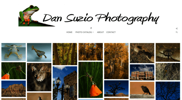 dansuzio.photoshelter.com