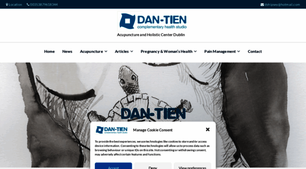 dantienacupuncture.com