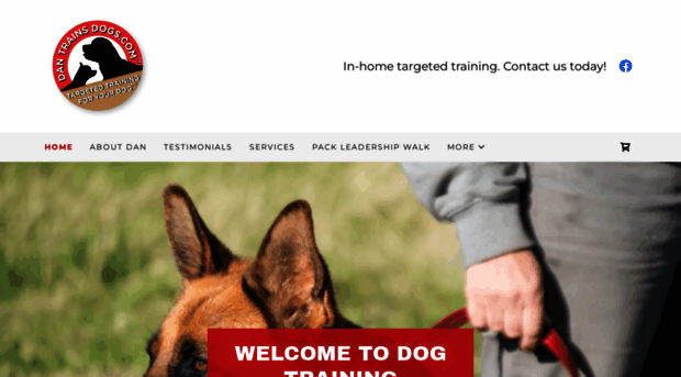 dantrainsdogs.com