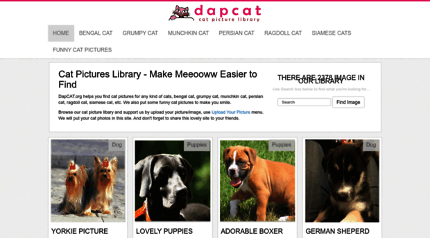 dapcat.org