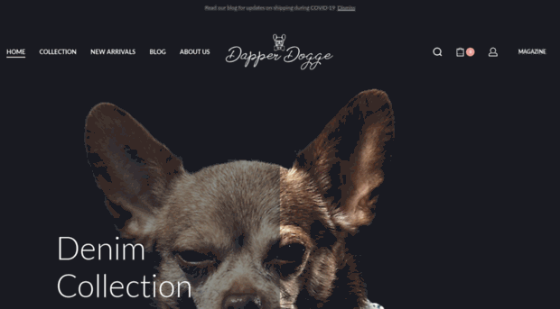 dapperdogge.com