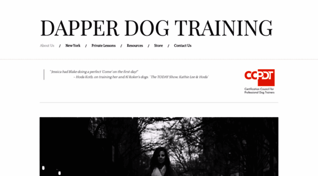 dapperdogtraining.com