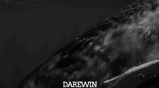 darewin.org