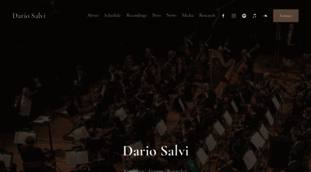 dariosalvi.co.uk