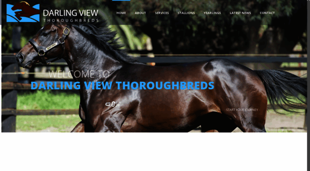 darlingviewthoroughbreds.com.au
