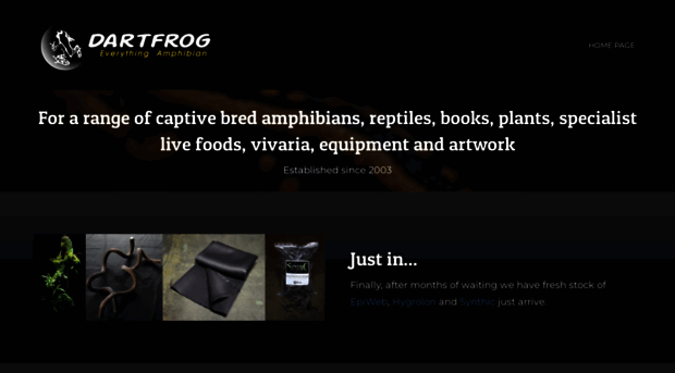 dartfrog.co.uk