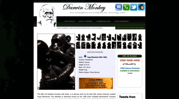 darwinmonkey.com