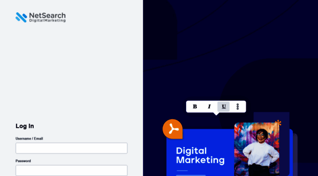 dashboard.netsearchdigitalmarketing.com