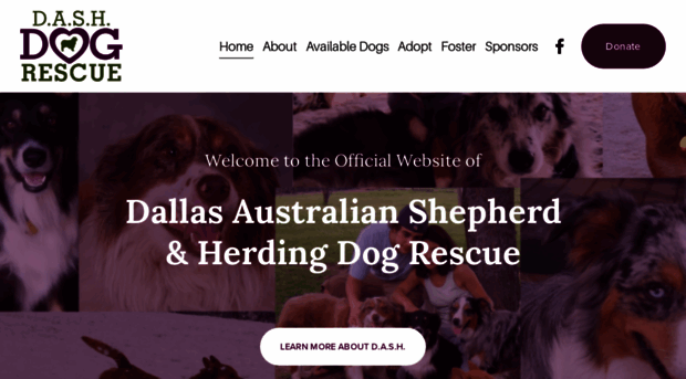 dashdog.org