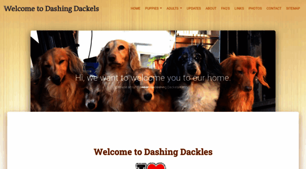 dashingdackels.com