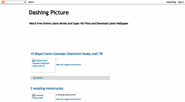 dashingpicture.blogspot.com