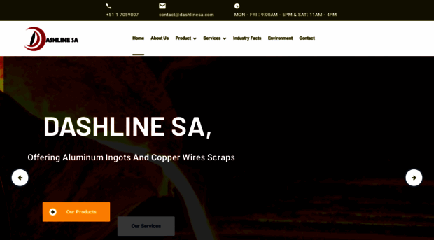 dashlinesa.com