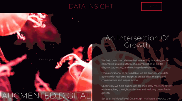 data-insight.org