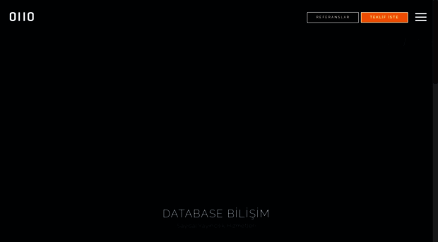 databasebilisim.com