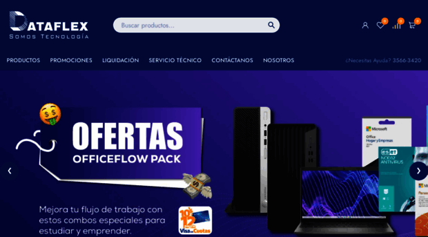 dataflexsa.com
