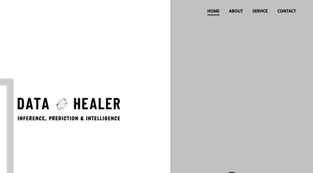 datahealer.com