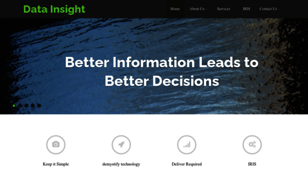 datainsight-group.com