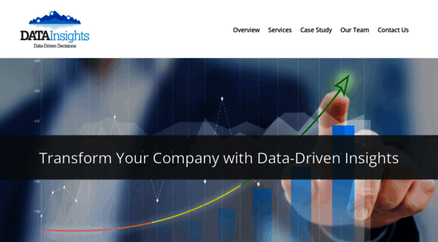 datainsights.com