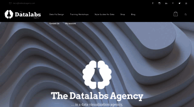 datalabsagency.com