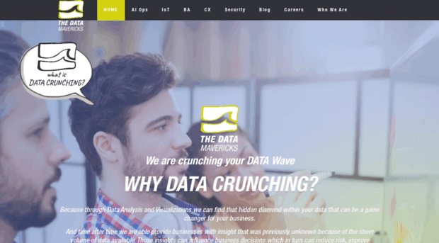 datamavericks.com
