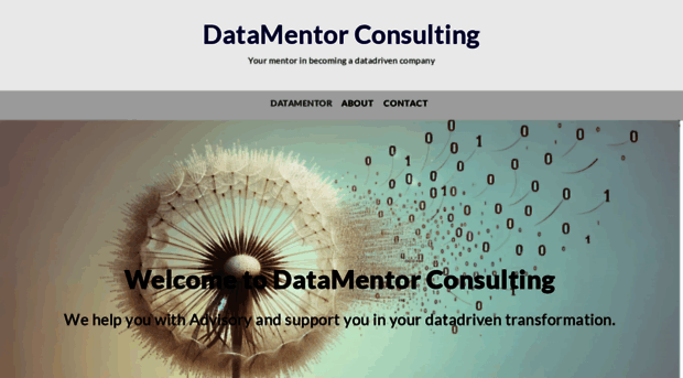 datamentor.se