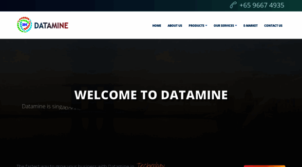 datamine.com.sg