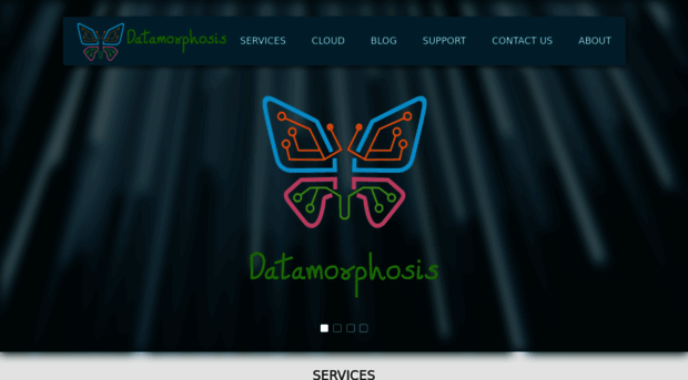 datamorphosis.in