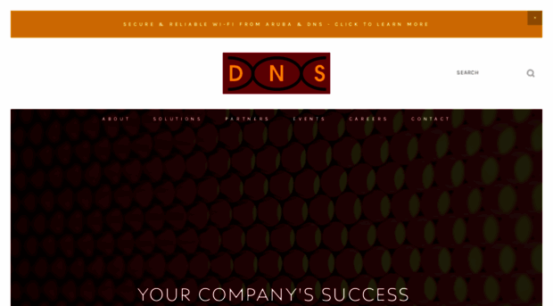 datanetworksolutions.com