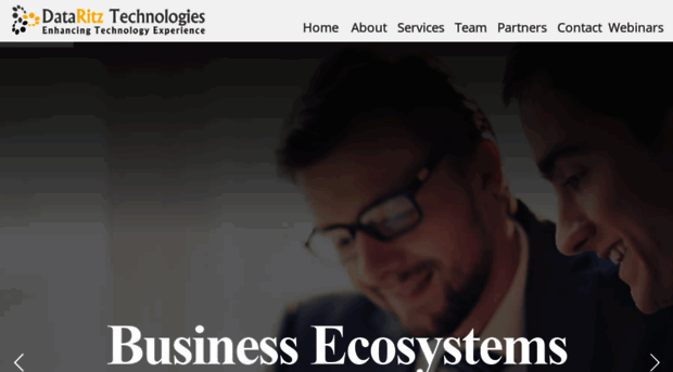 dataritz.com