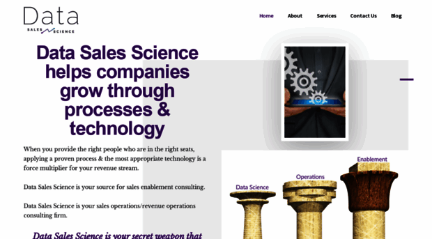 datasalesscience.com