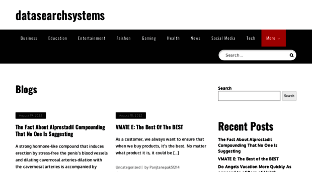 datasearchsystems.com